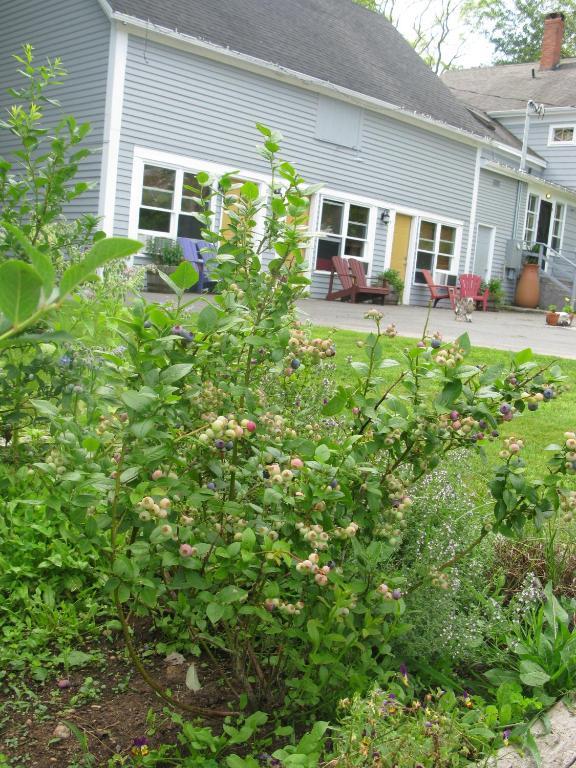 Dragonfly Inn Annapolis Royal Kültér fotó